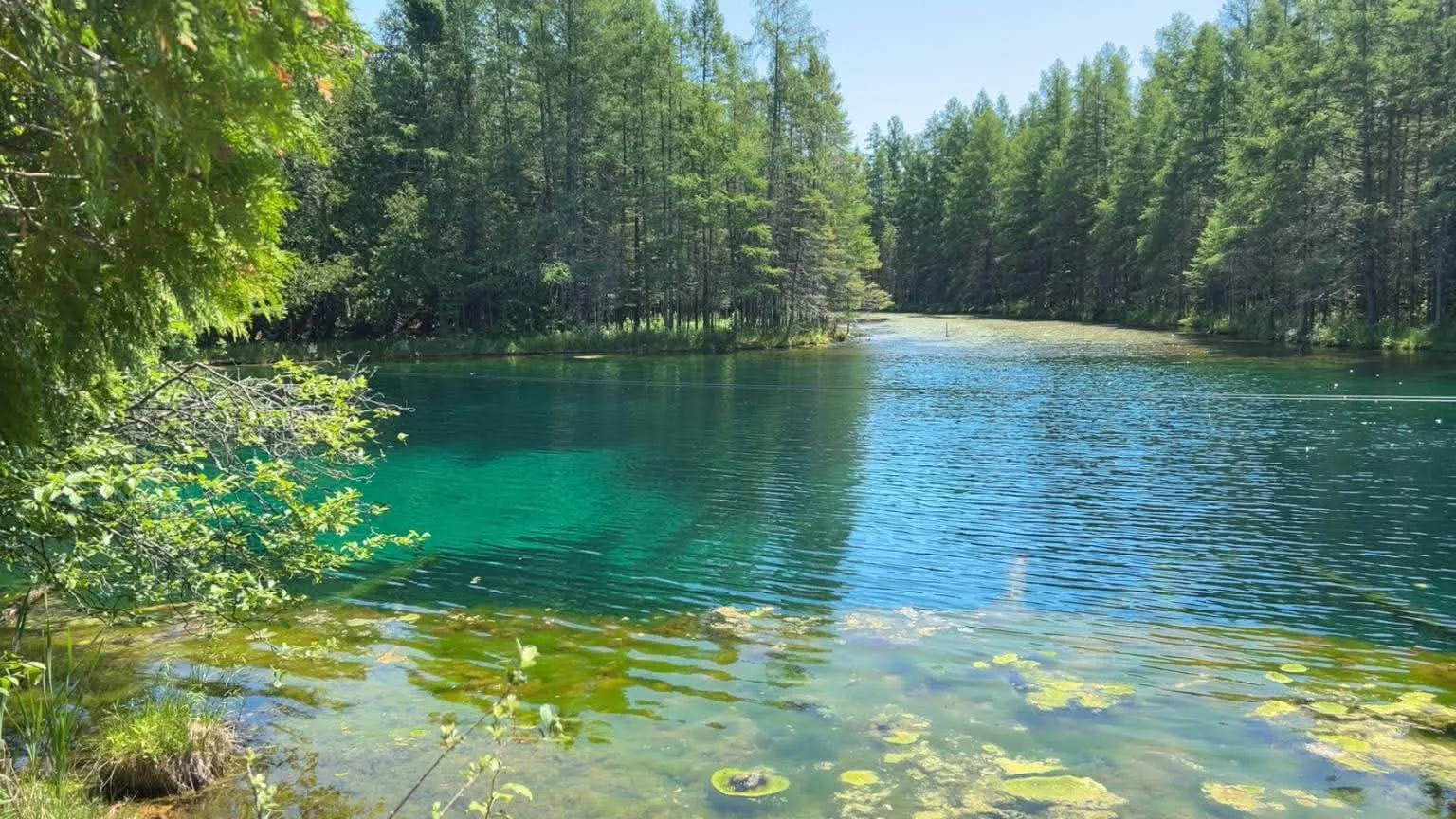 Turquoise water at Kitch-iti-kipi in Michigan